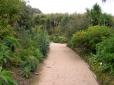  allée du jardin exotique